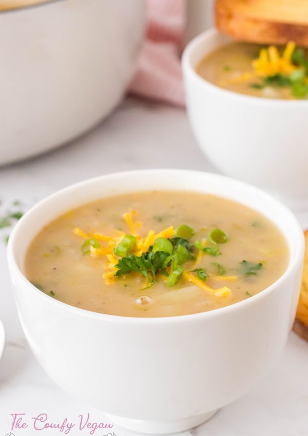 Vegan Potato Leek Soup