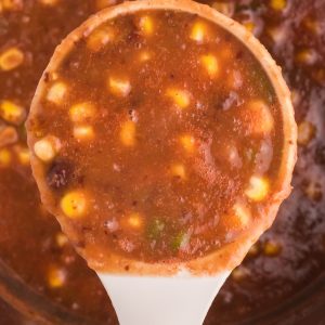Close up overhead look at a ladle full of vegan black bean soup.