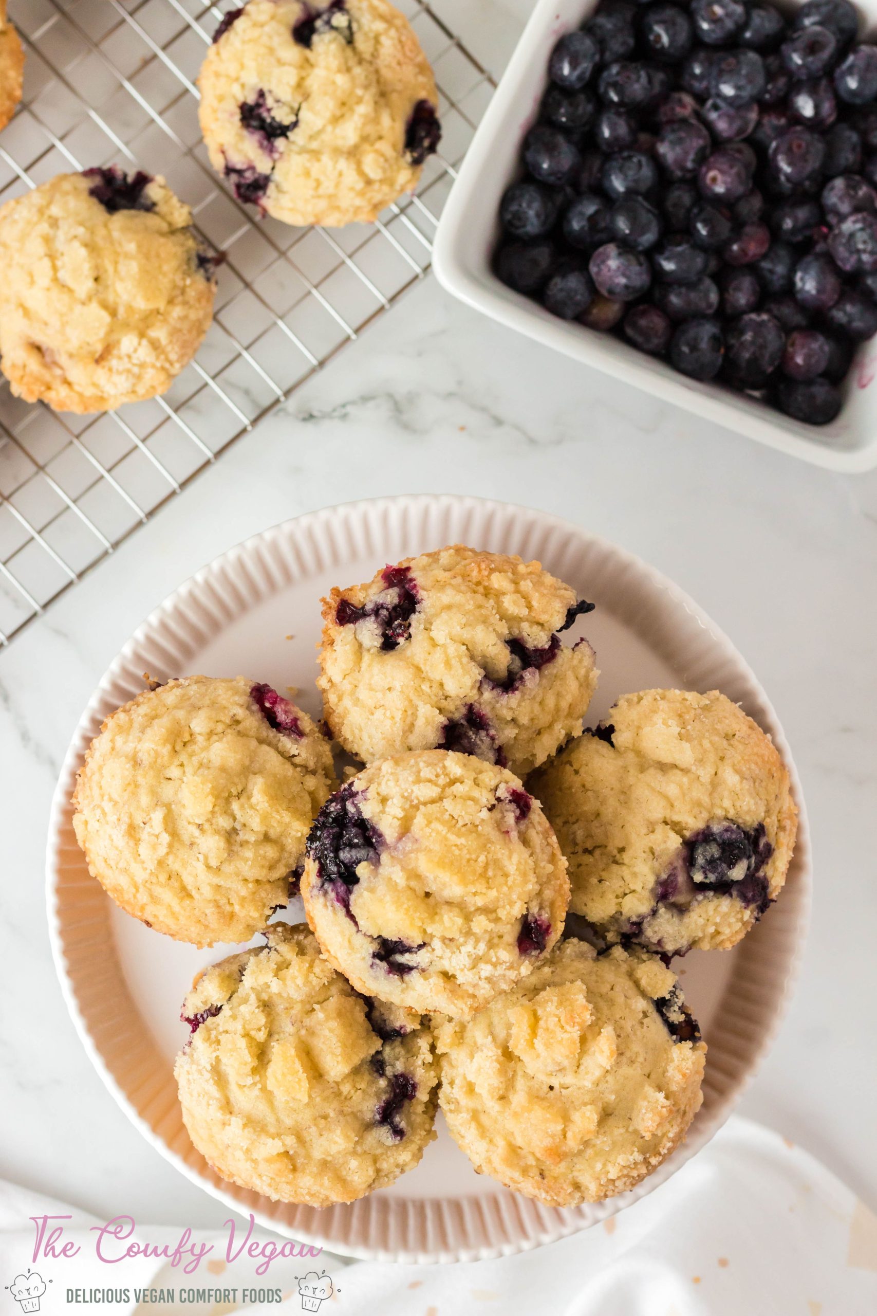 Easy and perfectly moist Vegan Blueberry Muffins. They're perfectly soft, sweet, and topped with a delicious crumb cote reminding you of muffins you'll find at your local bakery. Easy to make, fully vegan, and made in one bowl!