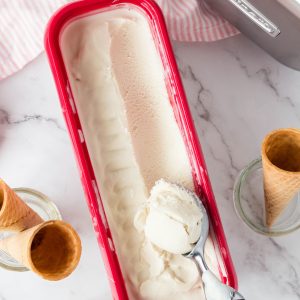 A scoop of vegan vanilla ice cream.